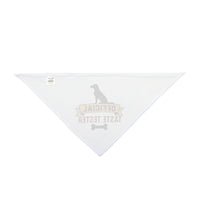 Official Taste Tester Dog Bandana