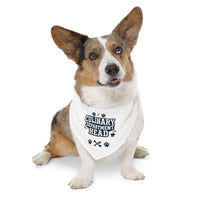 Culinary Department Head Pet Bandana Collar