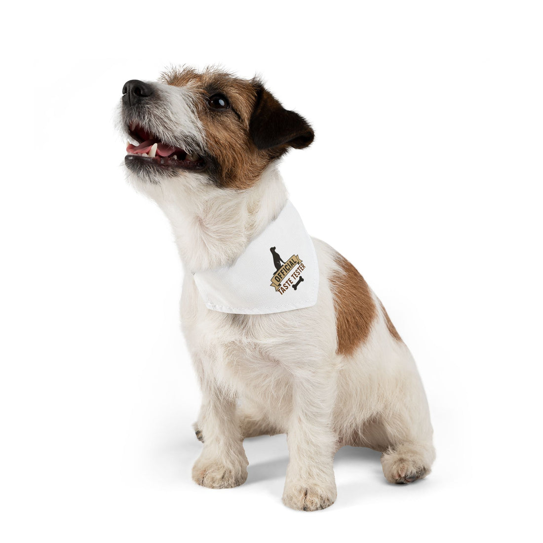 Official Taste Tester Pet Bandana Collar