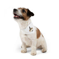 Official Taste Tester Pet Bandana Collar