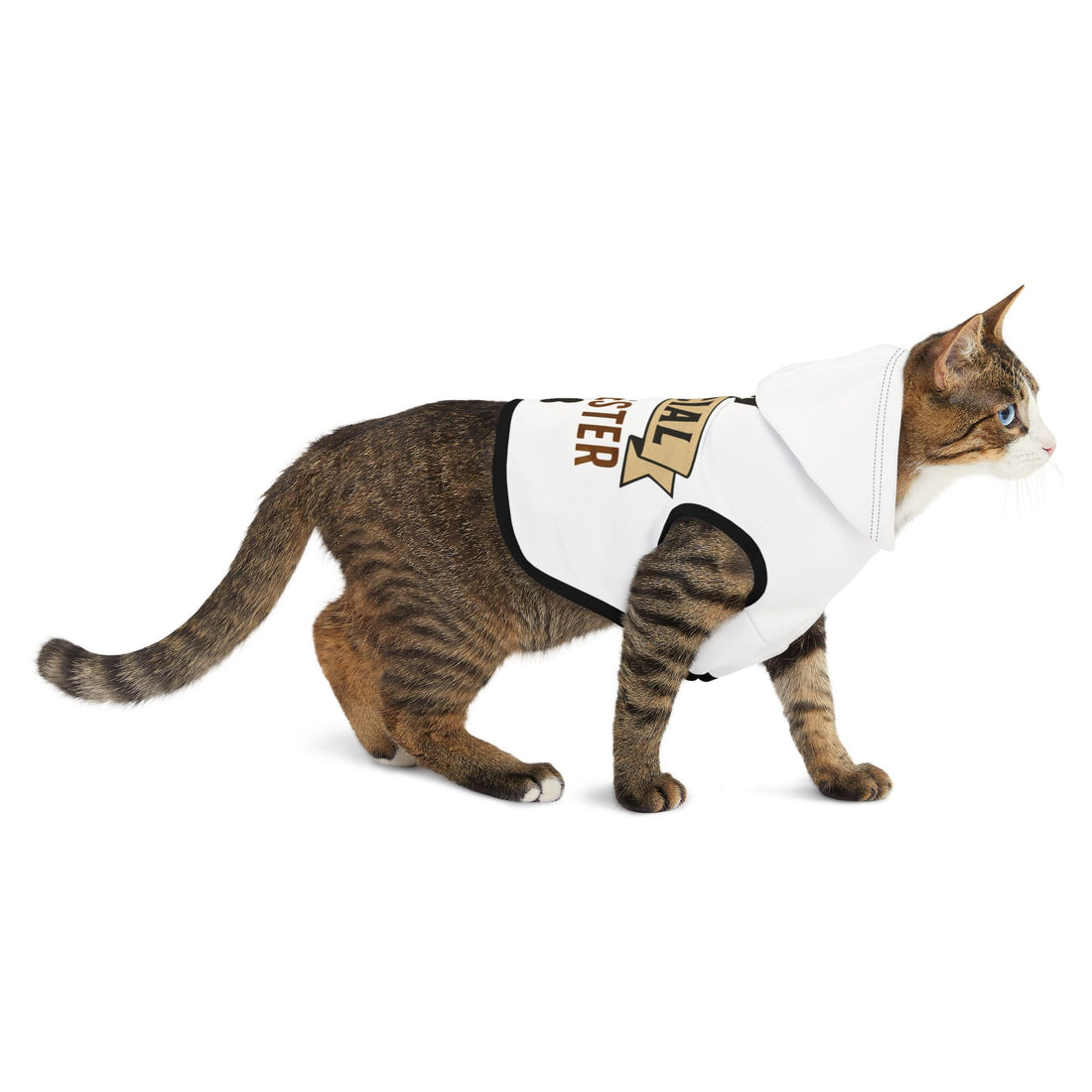 Official Taste Tester Pet Hoodie