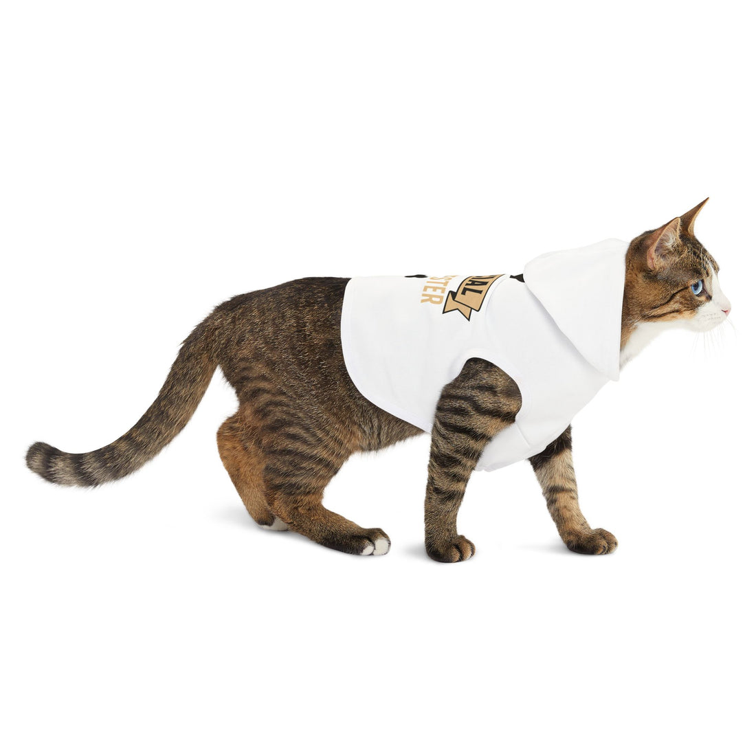 Official Taste Tester Pet Hoodie