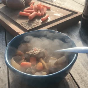 Steaming bowl of stew with carrots and beef.