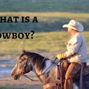 Cowboy riding a horse in a field.