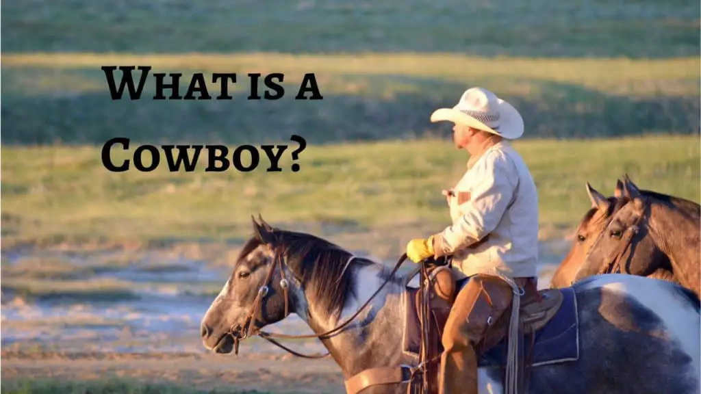 Cowboy riding a horse in a field.