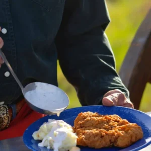 Fried chicken, mashed potatoes, and gravy.