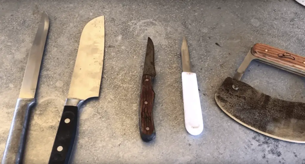 Five different knives on a countertop.