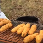 Fried corn dogs on a wire rack.