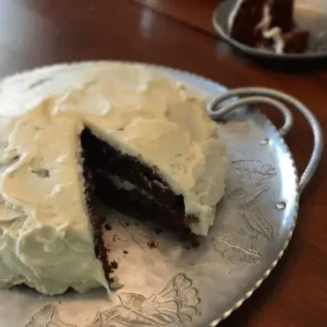 Chocolate cake with white frosting on a plate.