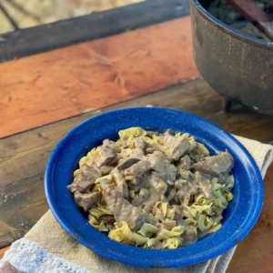 Beef stroganoff served on a blue plate.