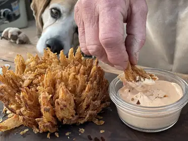 Blooming Onion 🧅🔥, Blooming Onion 🧅🔥, By Foody Fetish