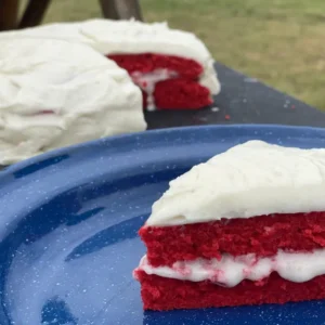 A red velvet cake with white frosting on top of a blue plate.