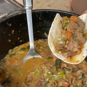 A person is stirring some stew in a pot