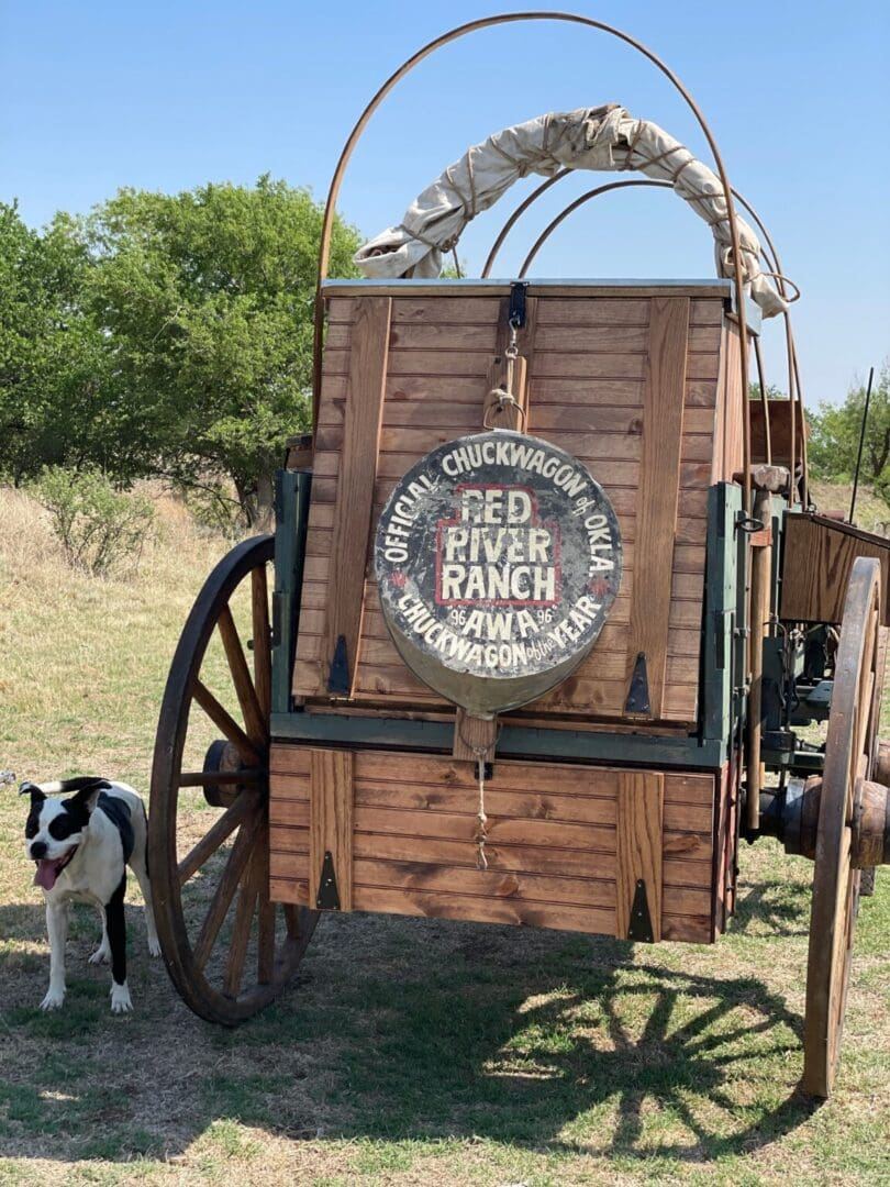 A dog standing next to an old wagon.