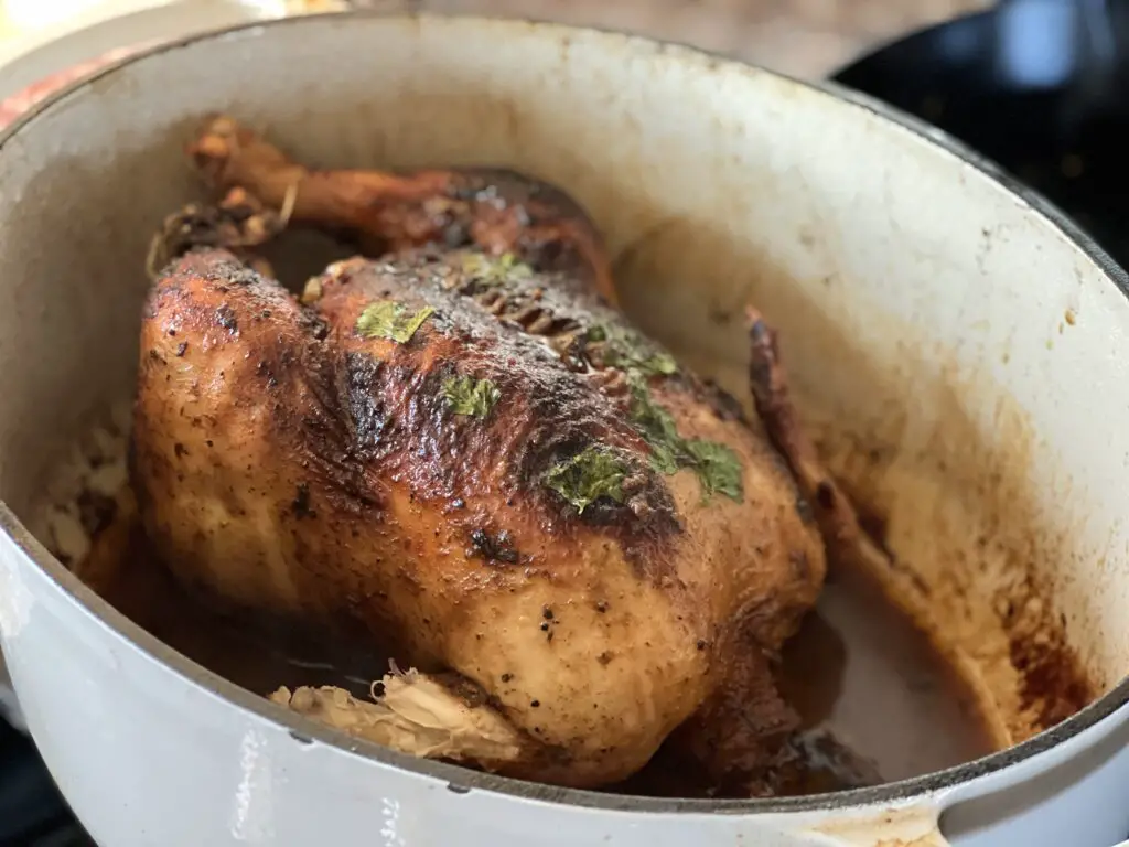 A chicken is cooked in a pot on the stove.