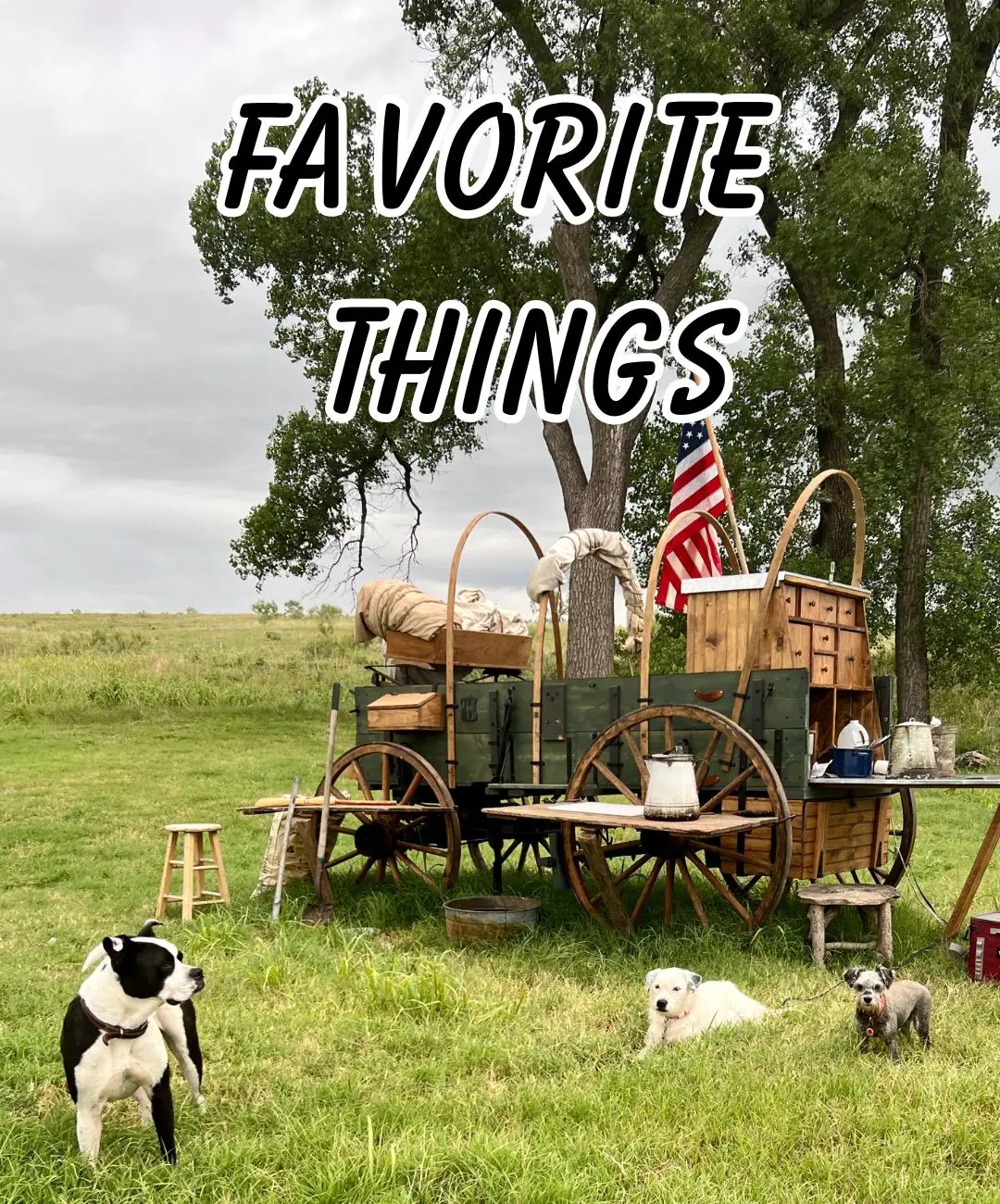 Wagon with dogs and text "Favorite Things"