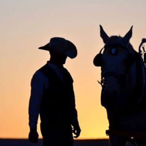 A cowboy and a horse in silhouette at sunset