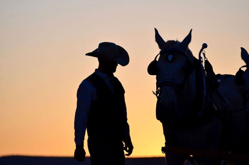 codeofthewest4 A cowboy and a horse in silhouette at sunset