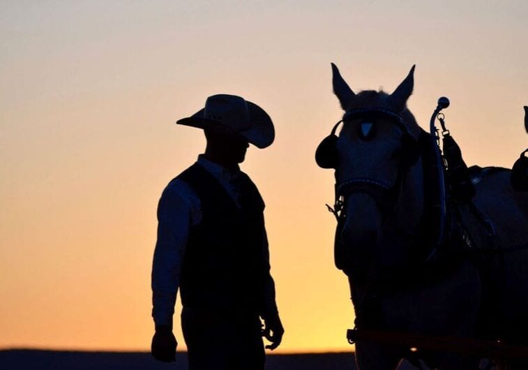 A cowboy and a horse in silhouette at sunset